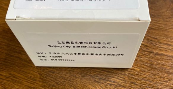 小反刍荧光PCR试剂盒
