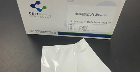 新城疫抗体测试卡