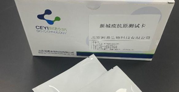 新城疫抗原测试卡