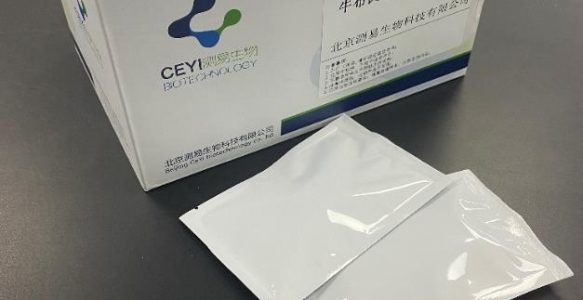 牛布氏杆菌抗原测试卡