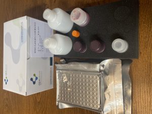 猪伪狂gB抗体ELISA试剂盒