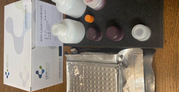 猪伪狂gB抗体ELISA试剂盒