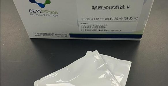 猪瘟抗体测试卡