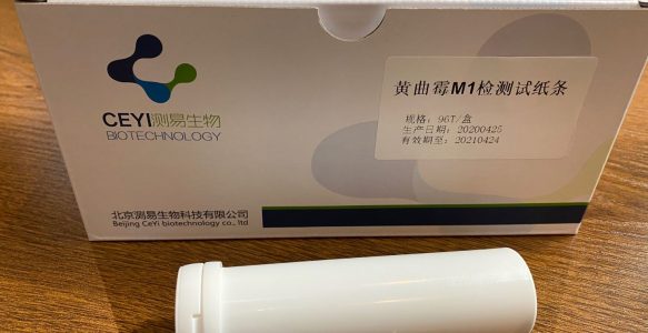 黄曲霉M1检测试纸条 96T
